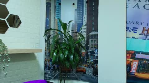 Kitten online show from March 8, 10:32 am