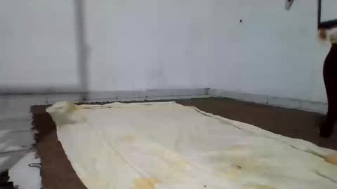 nay2167 online show from October 18, 12:04 am