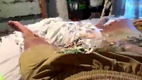 nellyd332169 online show from March 28, 1:56 pm