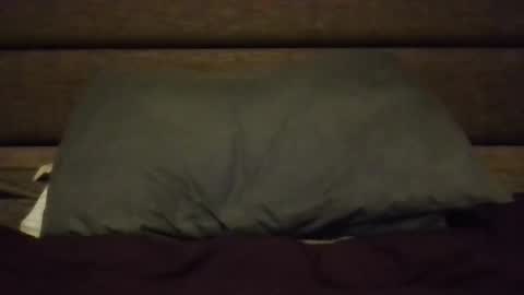 Nerfylil online show from January 8, 4:40 am