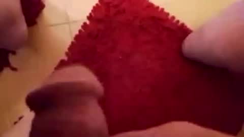 BookWriter online show from February 1, 7:15 am