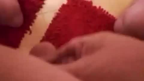 BookWriter online show from December 29, 8:22 am