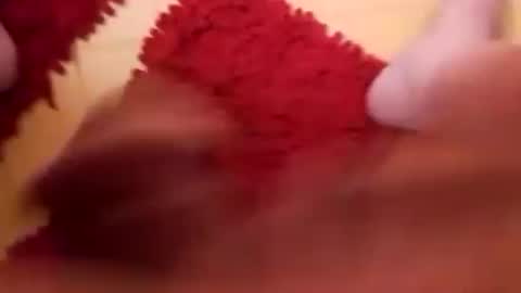 BookWriter online show from February 16, 7:48 am