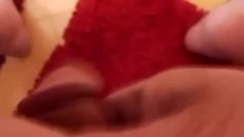 BookWriter online show from January 25, 7:49 am