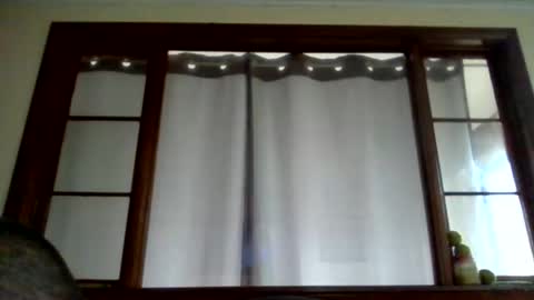 Newguy81240 online show from October 30, 1:44 pm