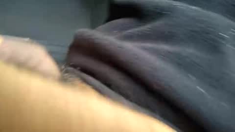 Ness online show from September 17, 2:42 pm