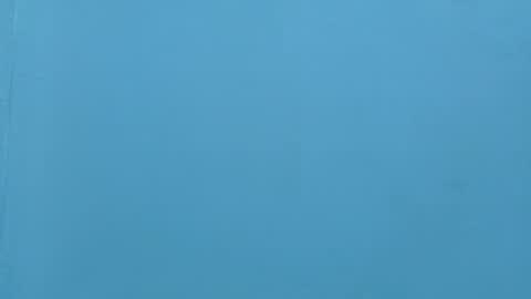 neytanmalcon online show from November 16, 4:53 pm