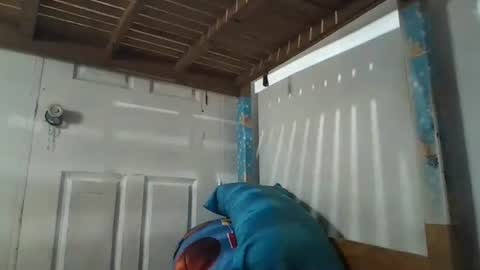 niceasianpussy online show from April 10, 4:23 pm