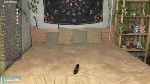 Nick online show from October 24, 6:19 pm