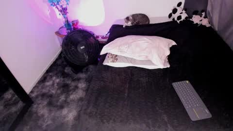 Nicol independent model online show from February 3, 10:32 pm