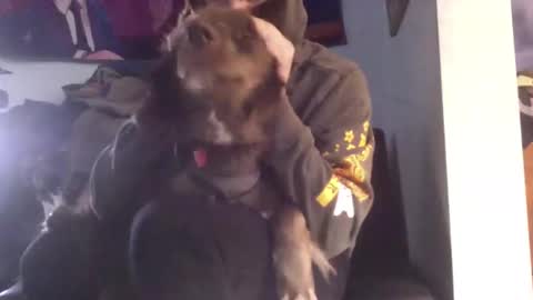 NicxDick online show from January 6, 5:16 pm