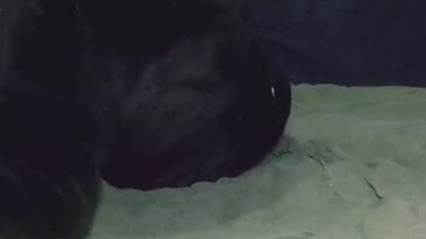 Watch us Fuck online show from March 8, 5:07 am