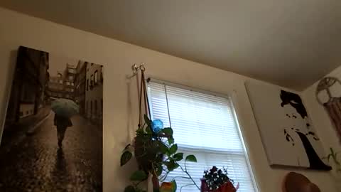 nikki32313 online show from November 24, 12:59 pm