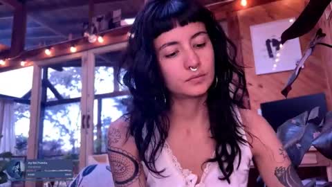 Nina.  online show from February 27, 9:51 pm