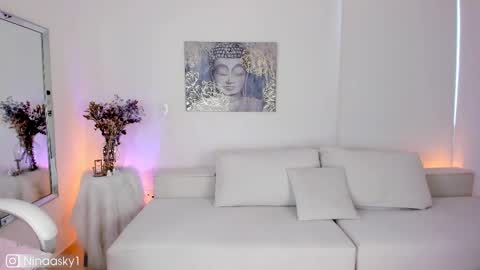 Snapshot of ninaa_sky chatting on February 20, 12:47 pm    online show from February 20, 12:47 pm