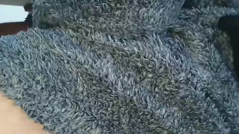 nineinchhard online show from April 6, 1:01 pm