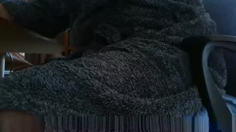 nineinchhard online show from March 4, 8:02 am