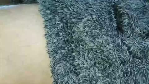 nineinchhard online show from February 24, 10:40 am