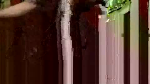 nocturnus1980 online show from December 1, 4:10 am