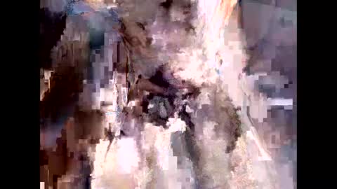 norm1996 online show from October 28, 8:43 pm