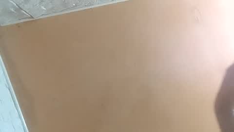 nowciu online show from November 5, 12:34 am