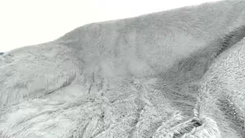 Snapshot of nreus chatting on March 11, 3:36 am nreus online show from March 11, 3:36 am