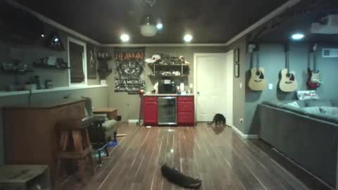 Nudistguy online show from November 16, 10:34 pm