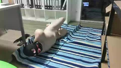 Slave for Mistress and Master online show from February 18, 11:33 am