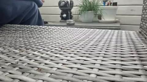 Naked cannon  online show from April 16, 7:30 am