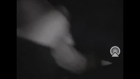 nympham online show from April 2, 10:49 pm