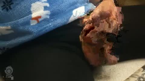 o0okukito0o online show from January 12, 10:33 pm