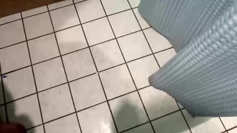 oconner701 online show from November 30, 11:50 am