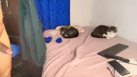 LU online show from October 25, 2:23 am