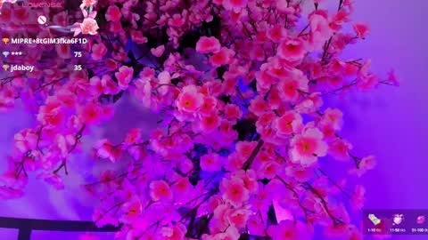 Snapshot of olivejoness_ chatting on September 26, 6:21 am olive online show from September 26, 6:21 am