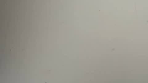 or online show from December 15, 2:24 pm