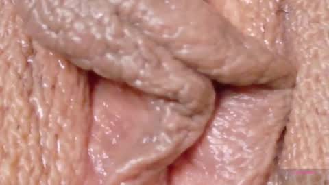 orchidekitty online show from February 5, 11:41 pm