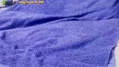 Owl online show from October 24, 5:36 pm