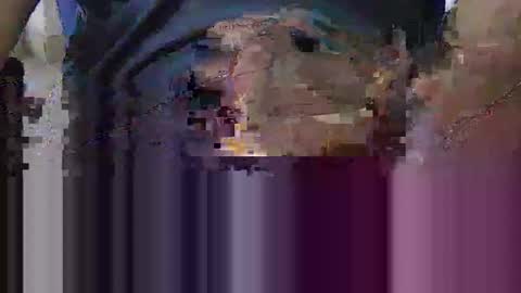 ovatz online show from November 17, 12:41 pm