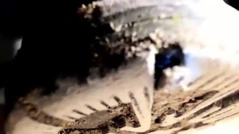 Pablo Meness online show from January 31, 8:28 pm