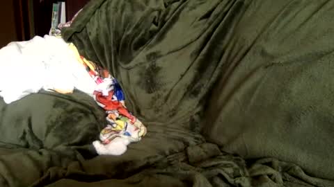 Snapshot of paintdude424 chatting on September 9, 3:34 pm paintdude424 online show from September 9, 3:34 pm