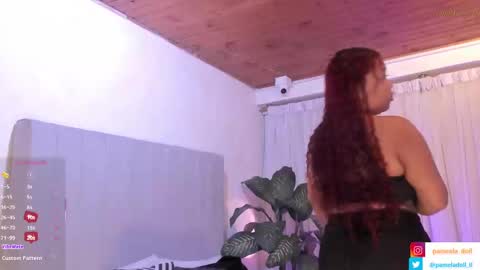Snapshot of pamela_doll3 chatting on February 18, 4:48 am pamela online show from February 18, 4:48 am