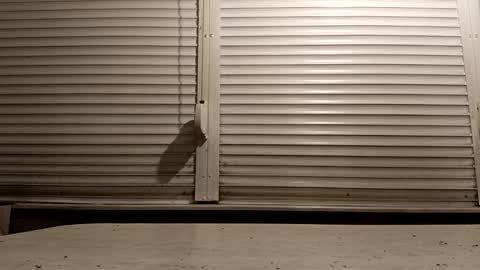 angel hris online show from February 6, 4:54 pm