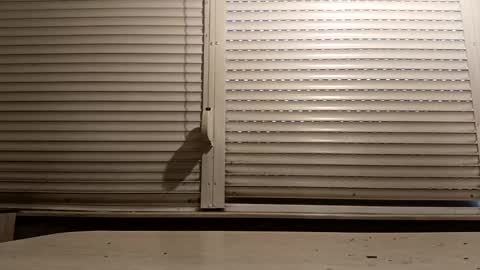 angel hris online show from February 15, 3:00 pm