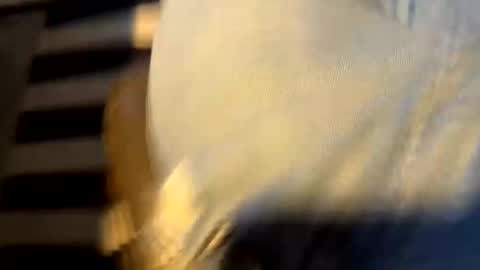 Alone online show from October 22, 9:05 pm