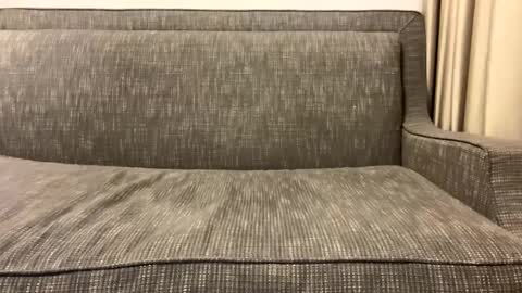 Oleg online show from February 11, 2:57 am