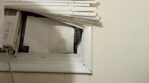 JD online show from December 17, 11:27 pm