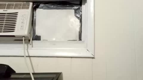 JD online show from March 1, 10:13 am