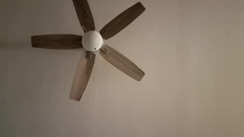 patrick247288 online show from October 20, 3:22 am