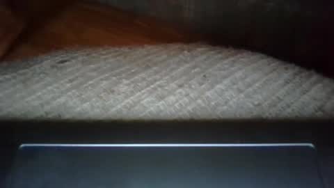 pattyboy1979 online show from January 19, 4:22 am