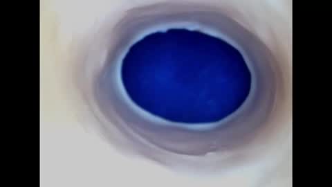 Paula 18 Aninhos online show from February 20, 3:01 am